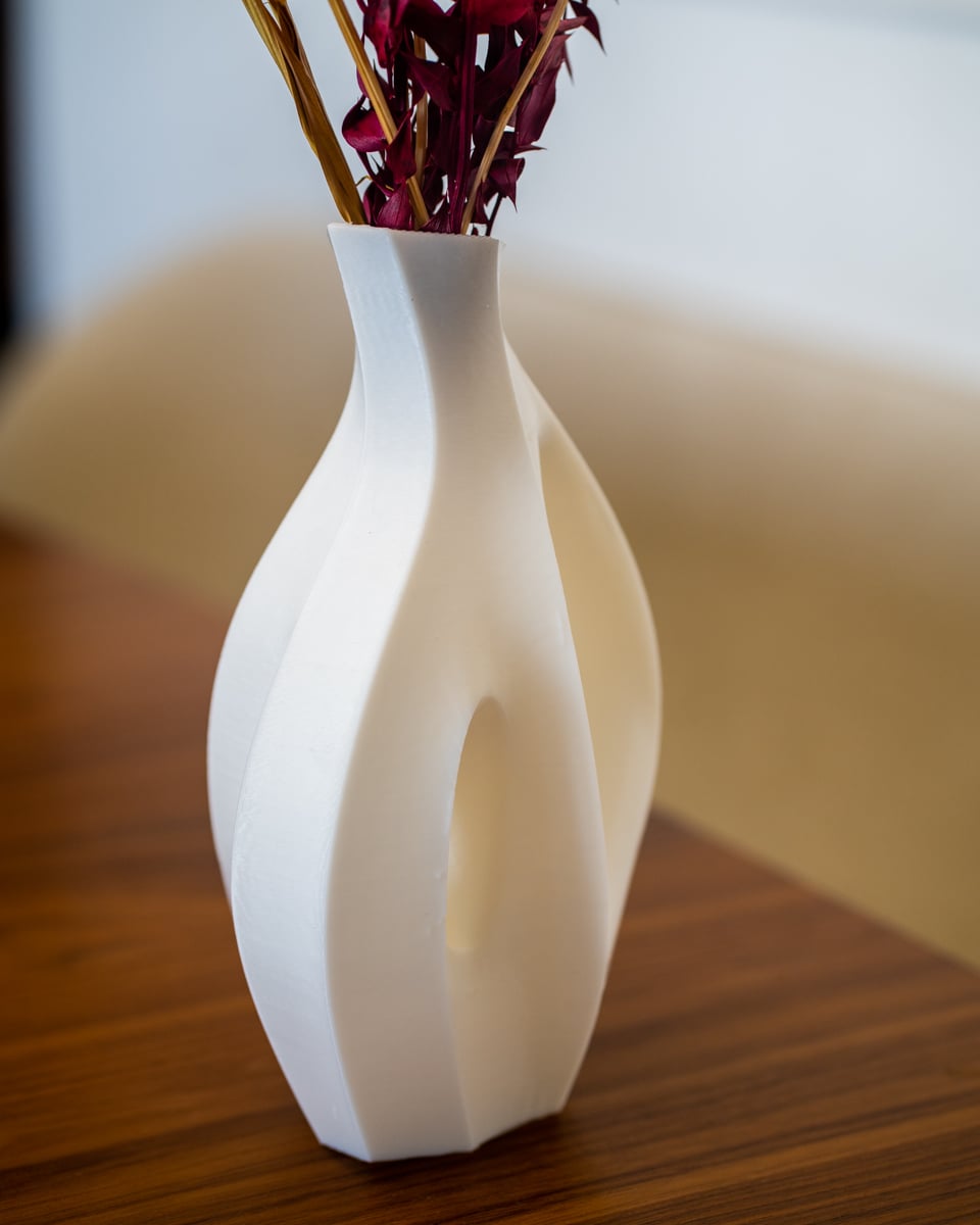 Organic Sculptural Dry Flower Vase 3d model