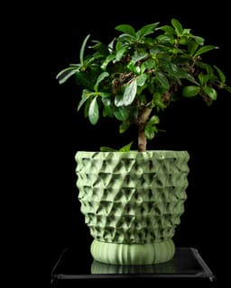 Tri-Wave Planter Pot by MODERN MACHINE 3d model