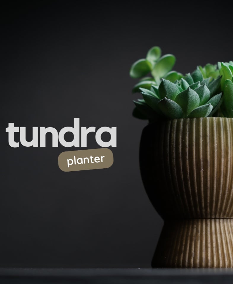tundra · planter 3d model