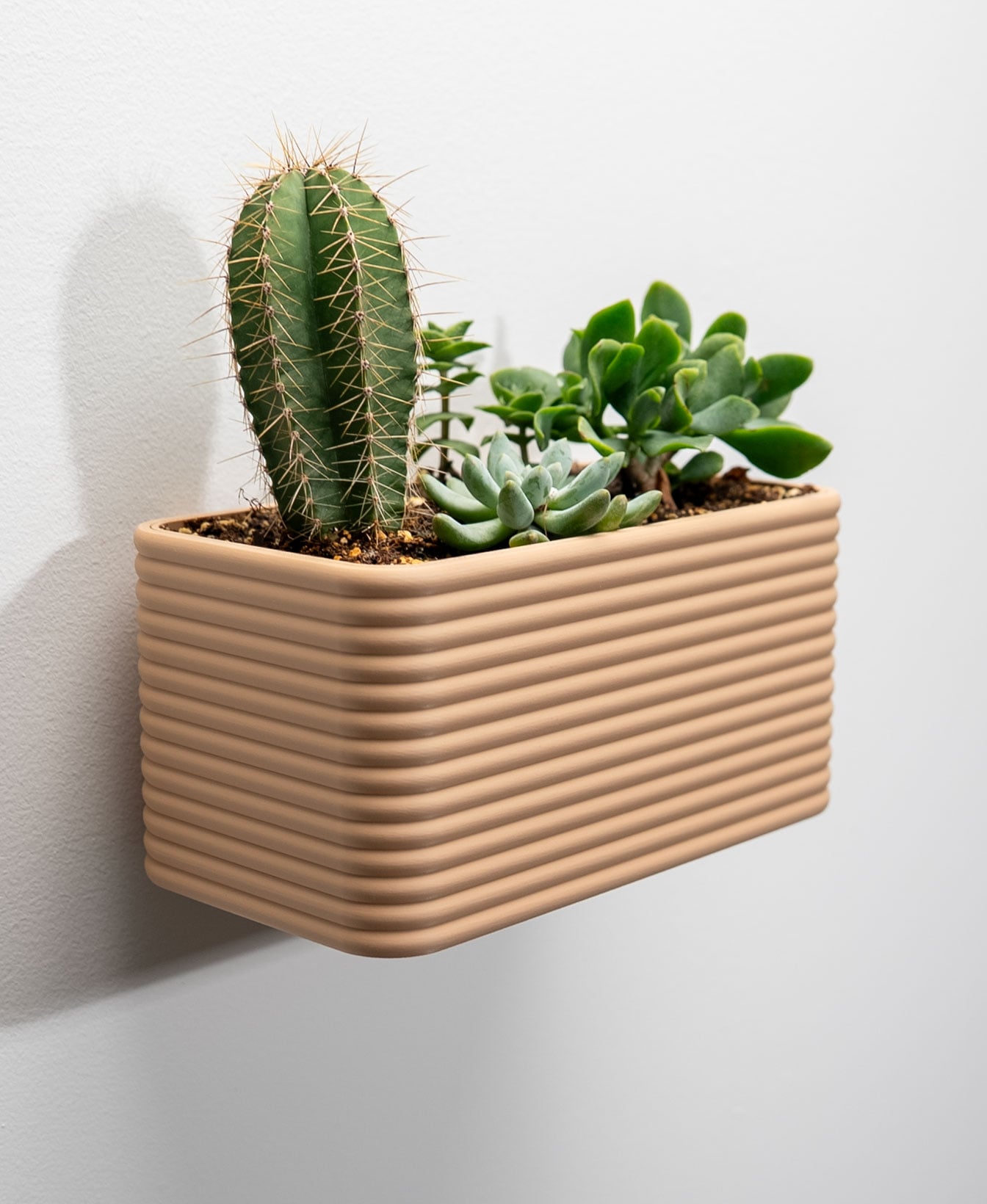 Wide Wall Planter - Poppy 3d model