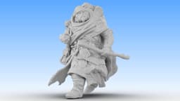 Clothbound Sentinel 3d model