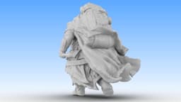 Clothbound Sentinel 3d model