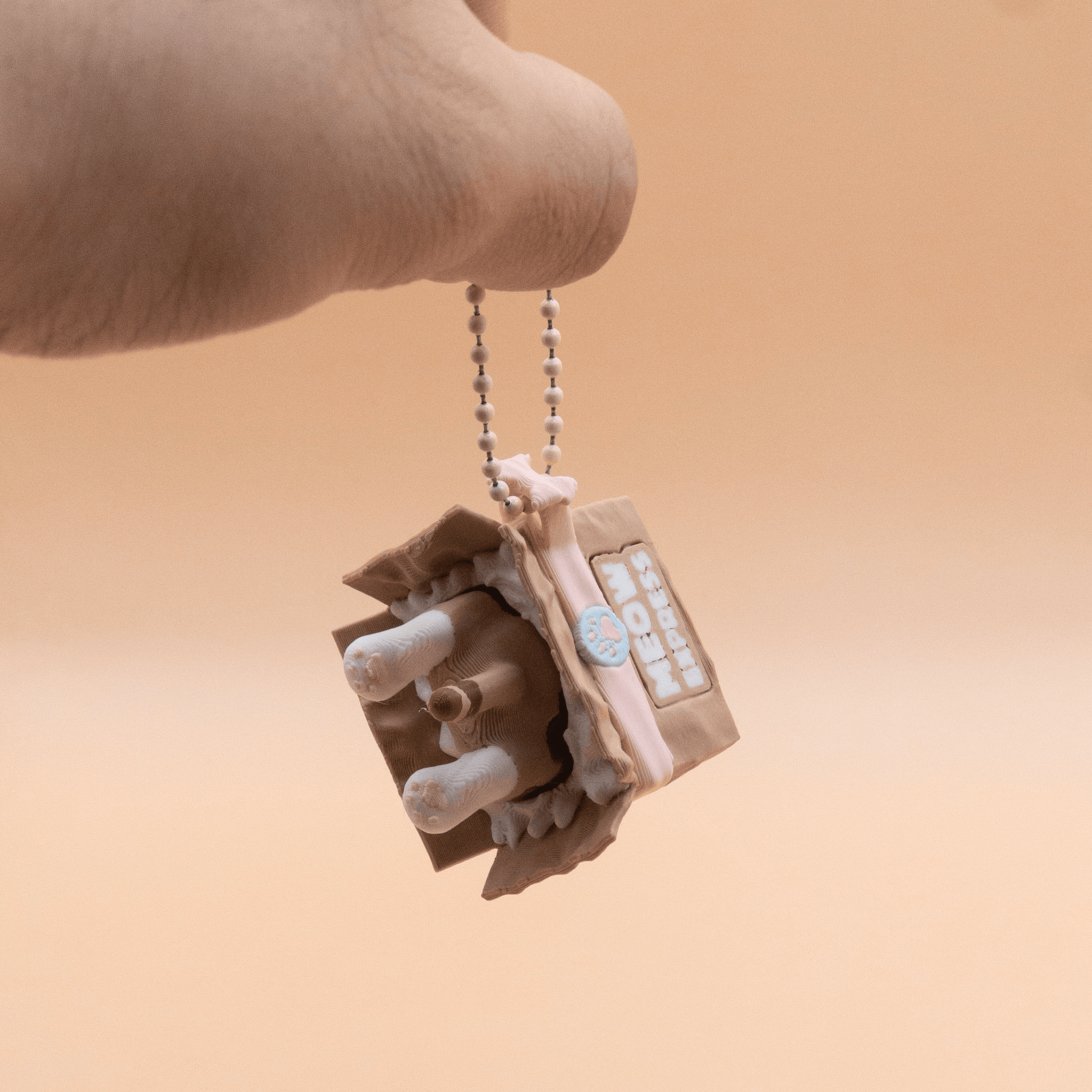 Meow Express Kitty Clicker - Fidget Clicker Toy 3d model