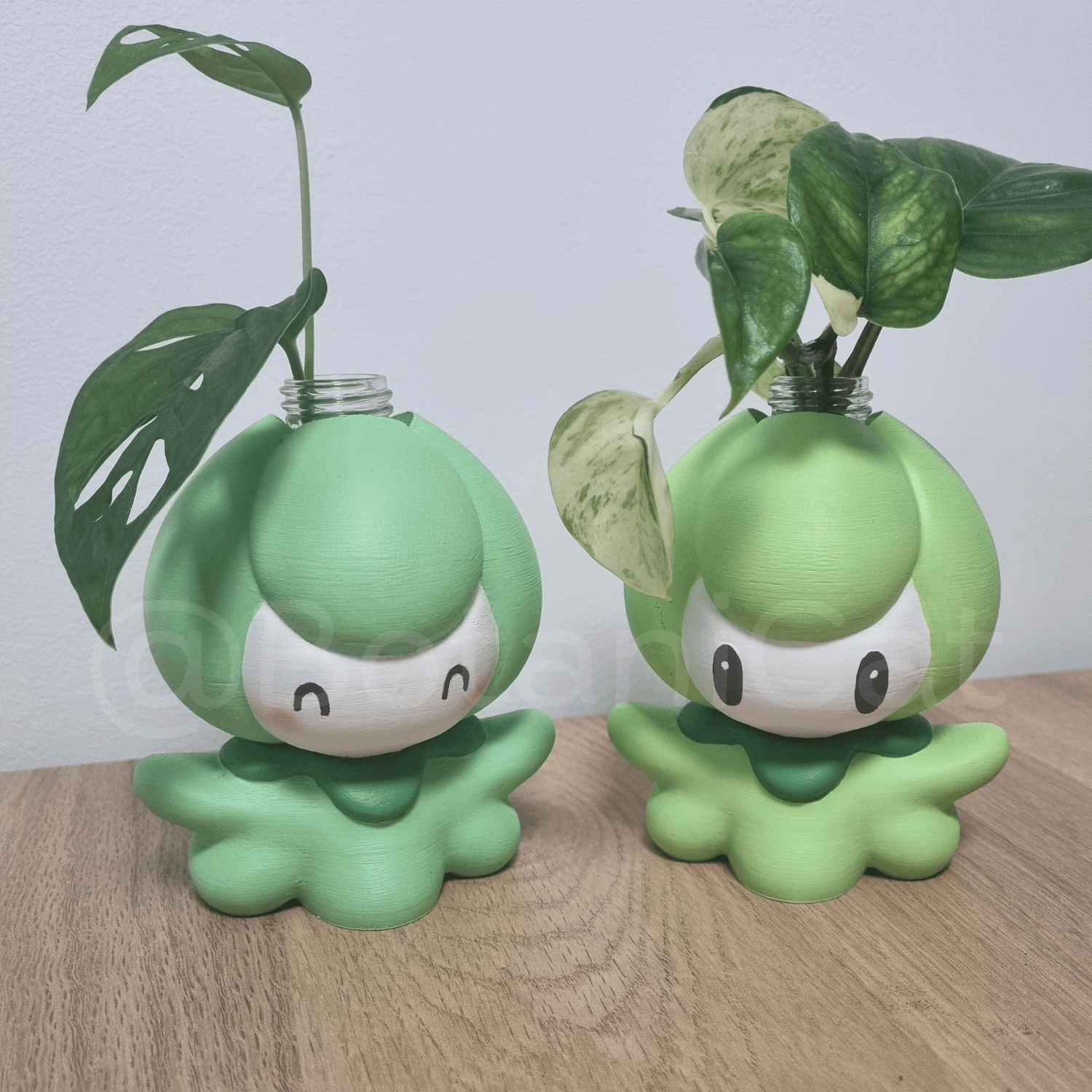 Planters & Co: Petilil 3d model