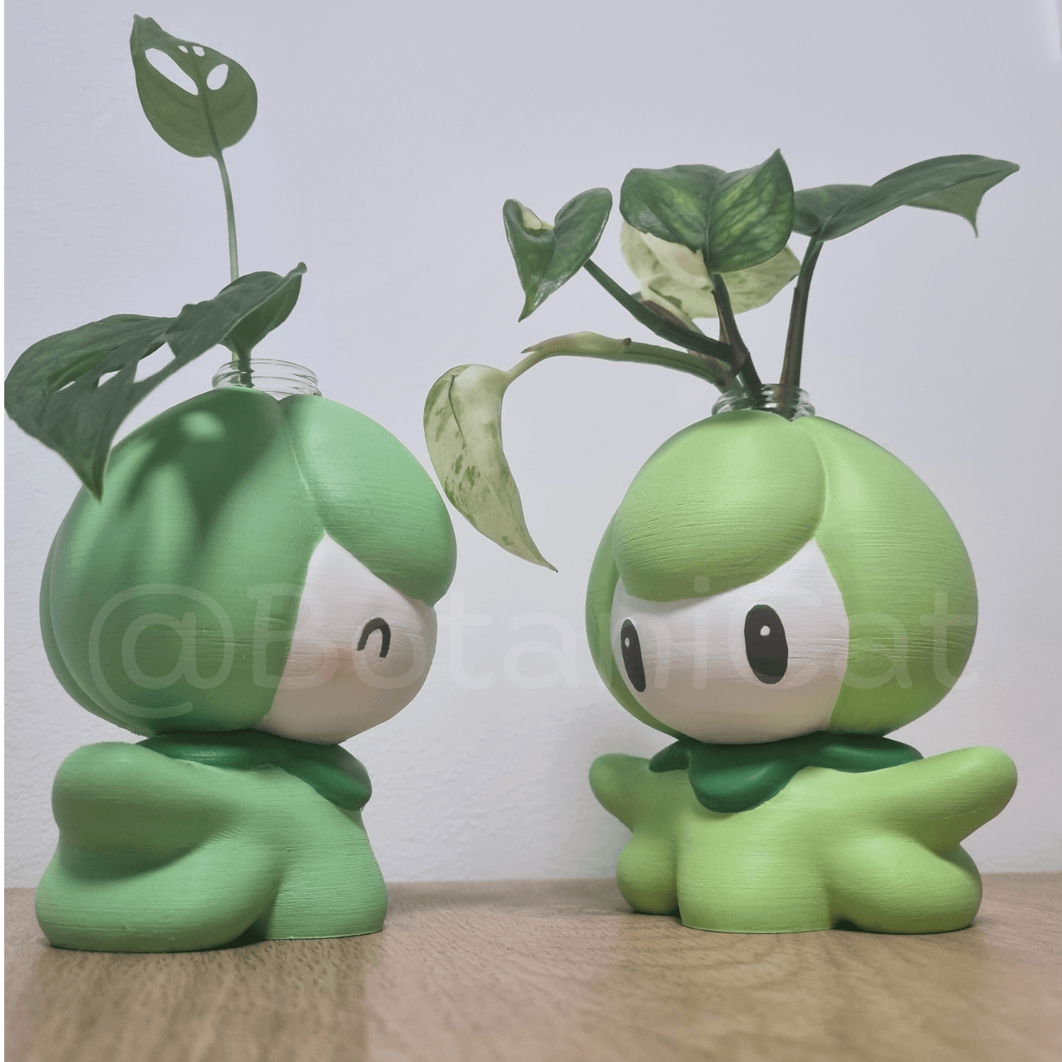Planters & Co: Petilil 3d model