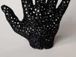 vonoroi hand 3d model
