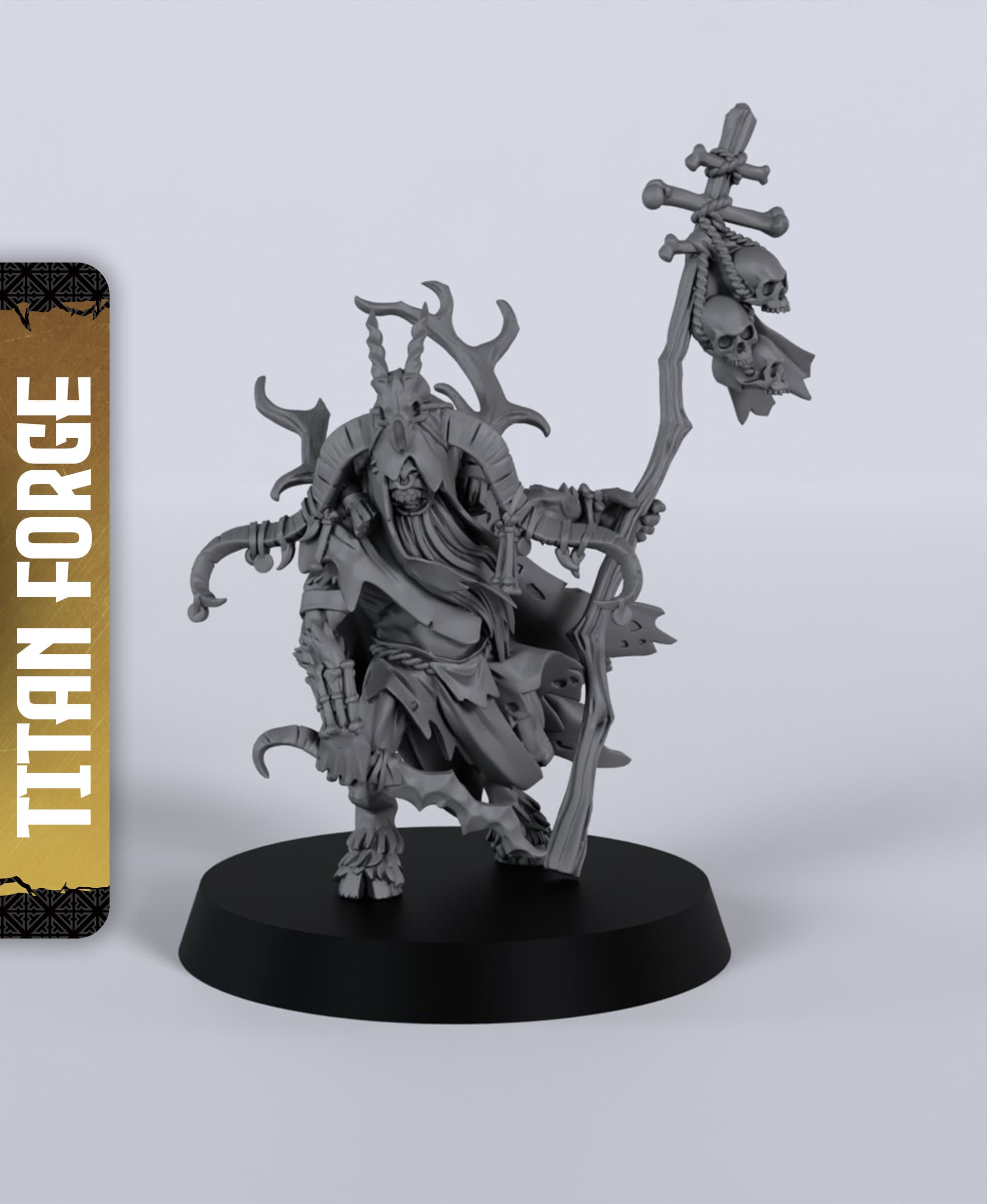 Blind Shaman - With Free Dragon - 5e DnD Inspired for RPG and Wargamers 3d model