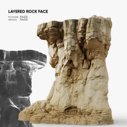 Layered Rock Face 3d model