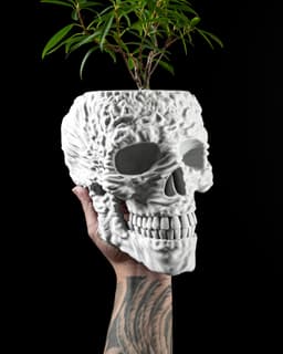 Skull Planter Pot by MODERN MACHINE 3d model