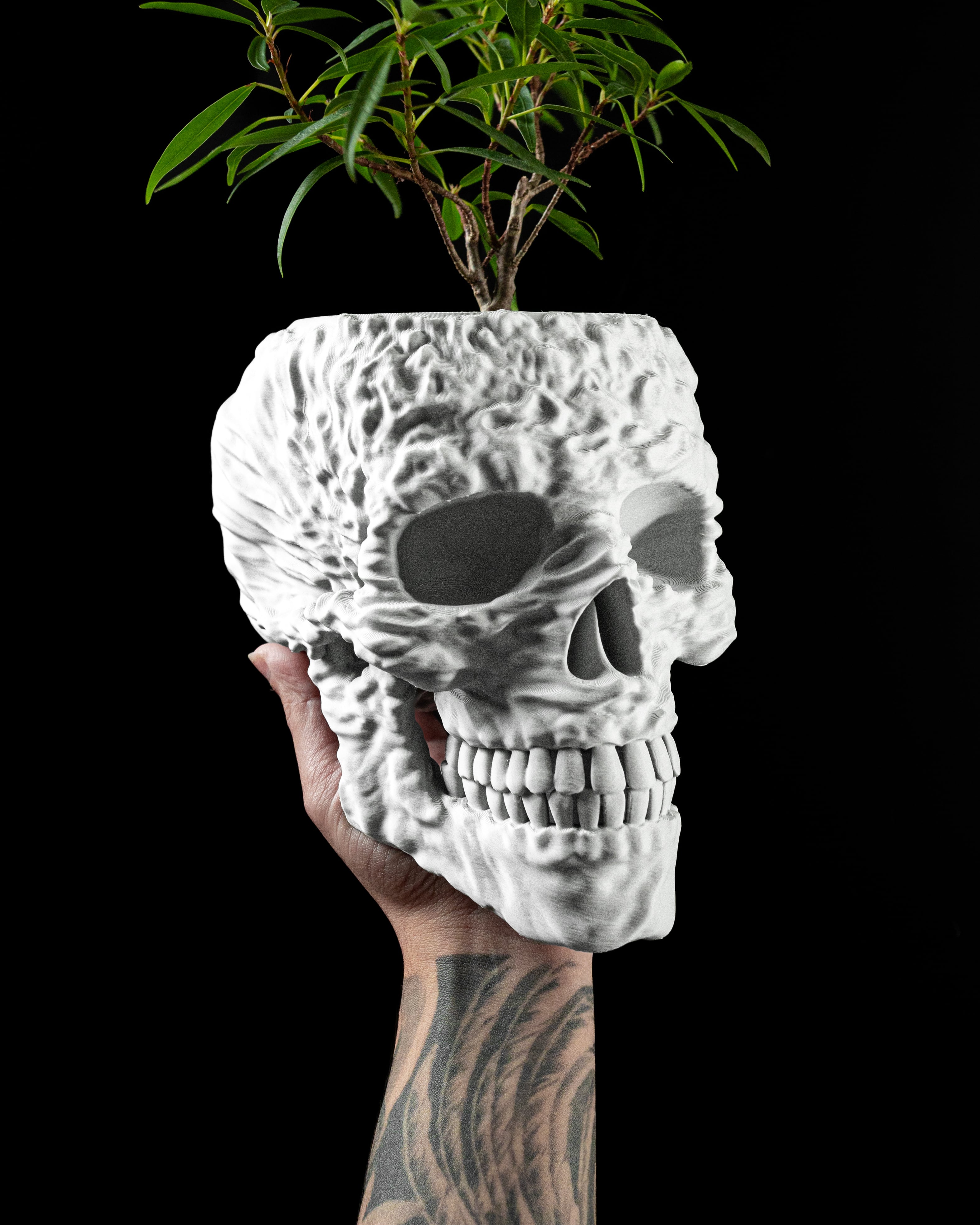Skull Planter Pot by MODERN MACHINE 3d model