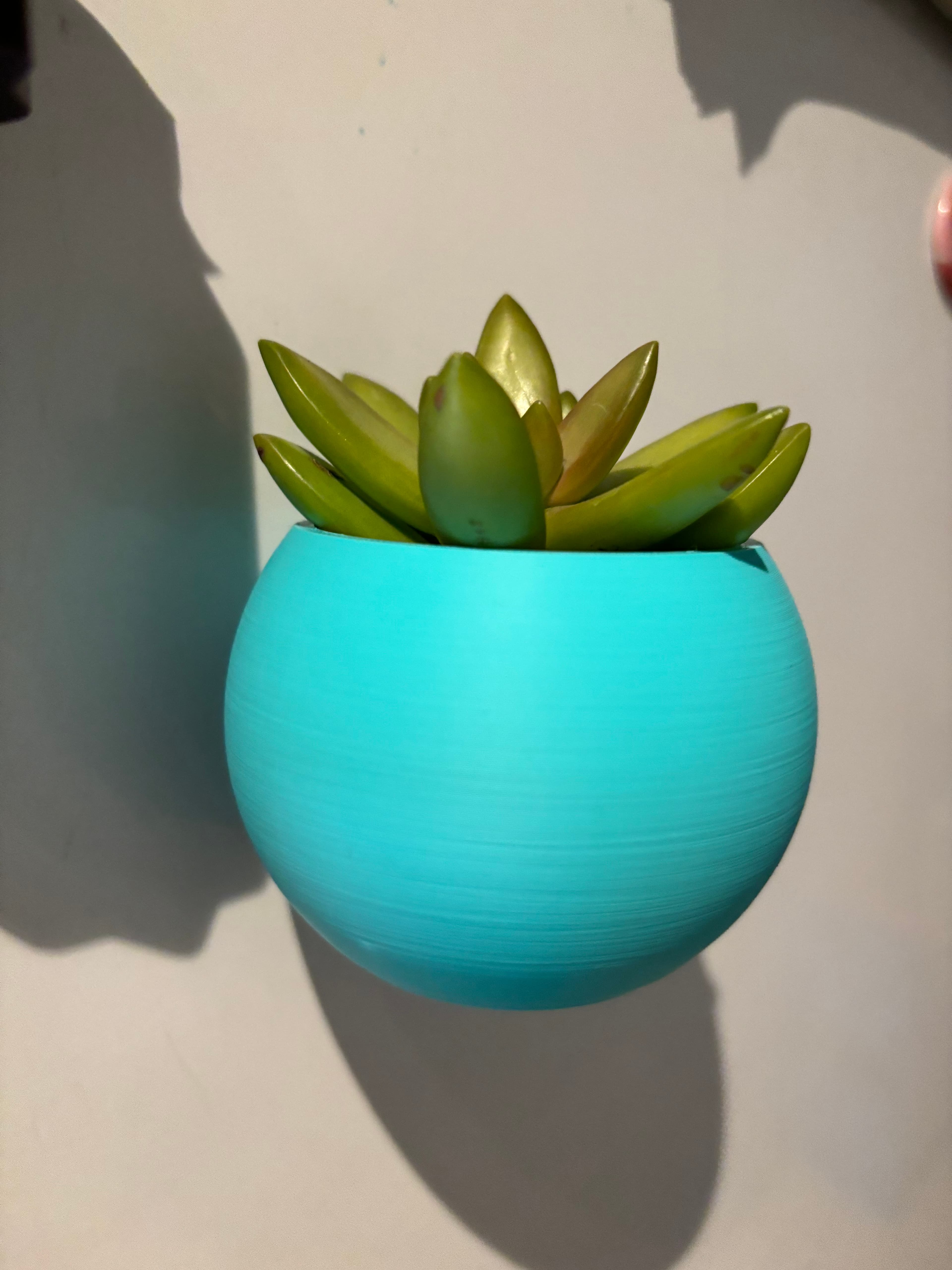 Fridge magnetic planter for succelent plants - 2 3d model