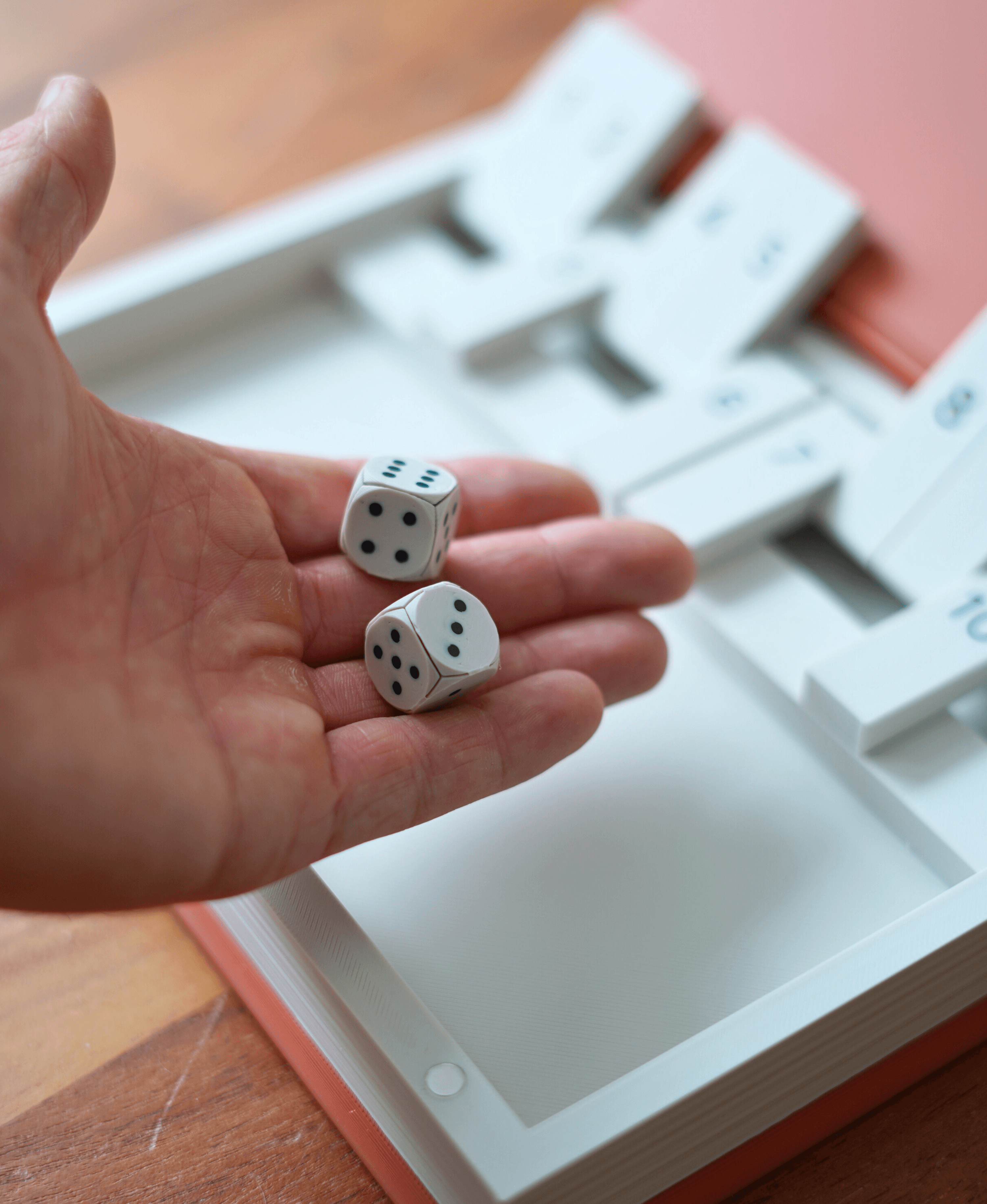 PlayBook'd - Shut the Box 3d model