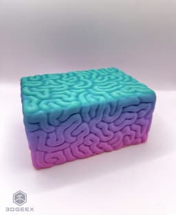 Brain Box 3d model