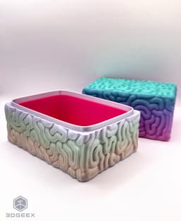 Brain Box 3d model