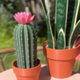 Cactus Salt Shaker & Pepper Grinder 3d model