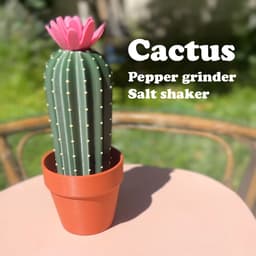 Cactus Salt Shaker & Pepper Grinder 3d model