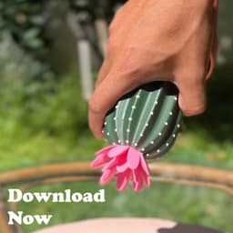 Cactus Salt Shaker & Pepper Grinder 3d model
