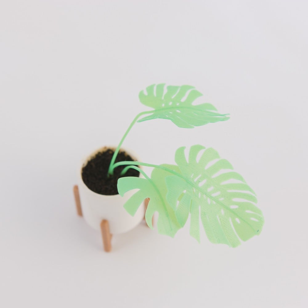 Mini Monstera & Planter 3d model