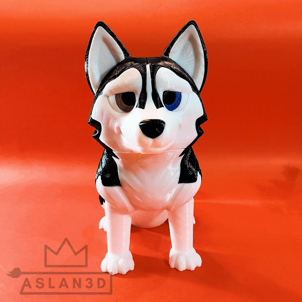 Siberian Husky - By Colors 3d model