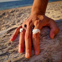 Hugging Crab Rings 3d model