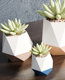 DuoFacet Pots 3d model