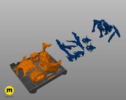 King Cobra Snake Skull Ophiophagus hannah 3d model