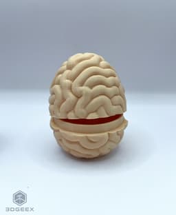 Easter Brain Egg 3d model