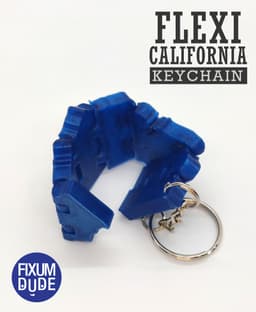 Flexi California Fidget Keychain 3d model