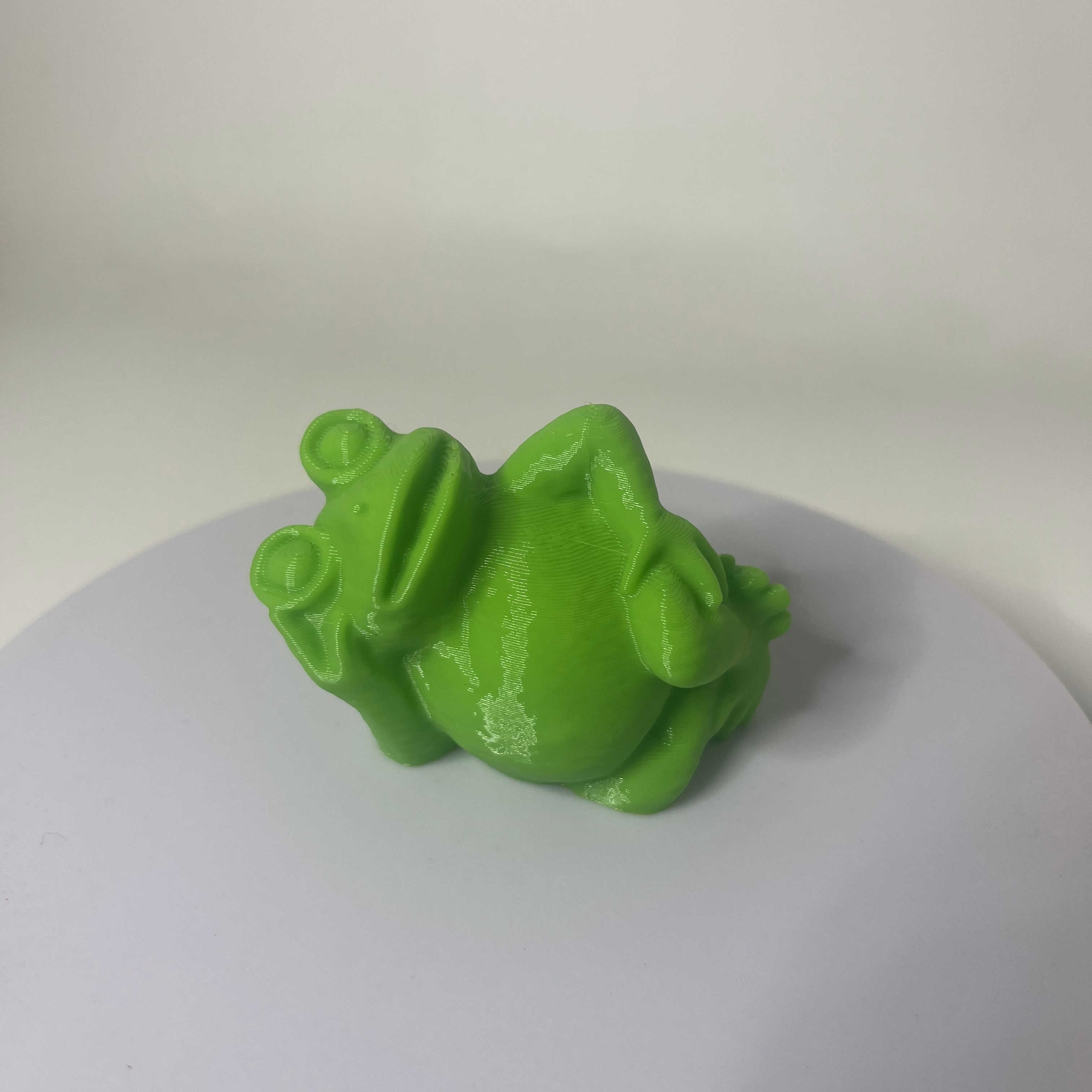 Frog cool 3d model
