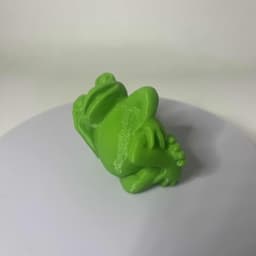 Frog cool 3d model