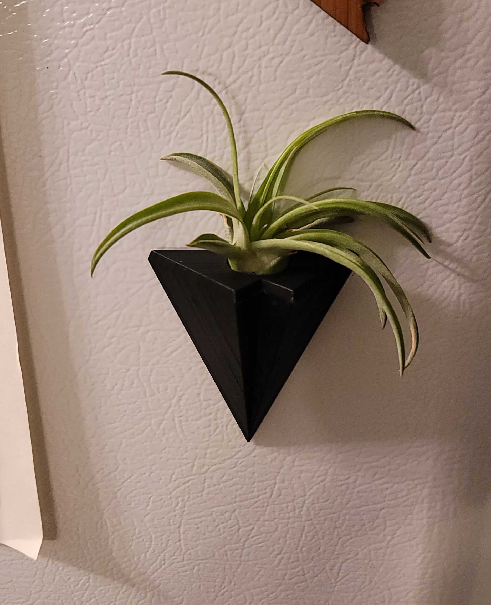 Magnetic Air Plant Holder 3d model