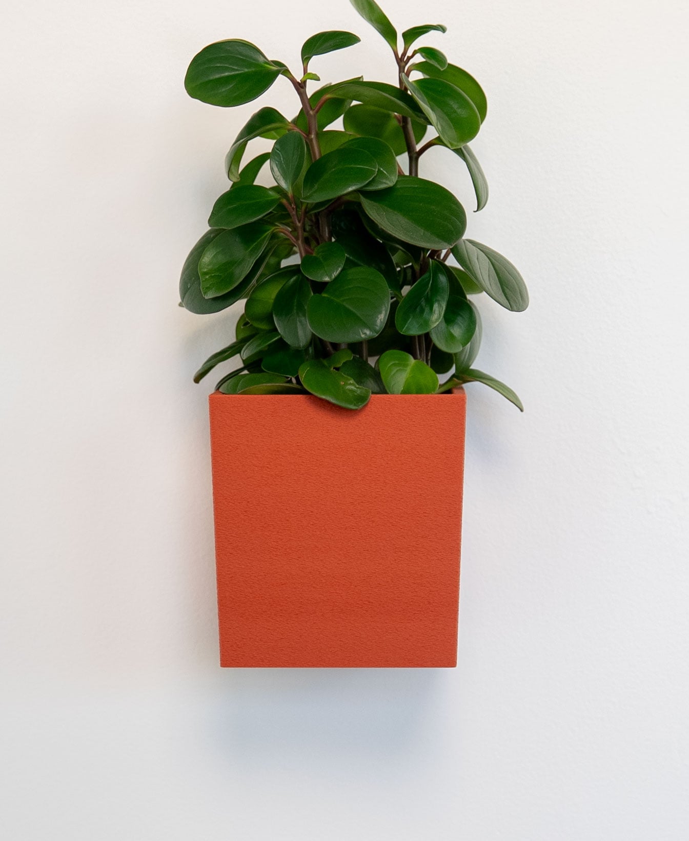 Square Tapered Planter 3d model