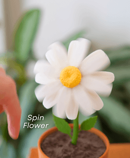 Date Night Daisy 3d model