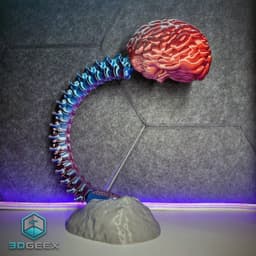 Articulated Spine-Brain 3d model