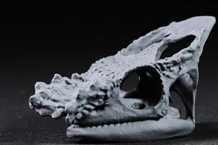 Parsons Chameleon Skull 3d model