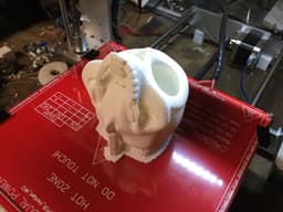 Davision3d Articulated Skeleton at 150% 3d model