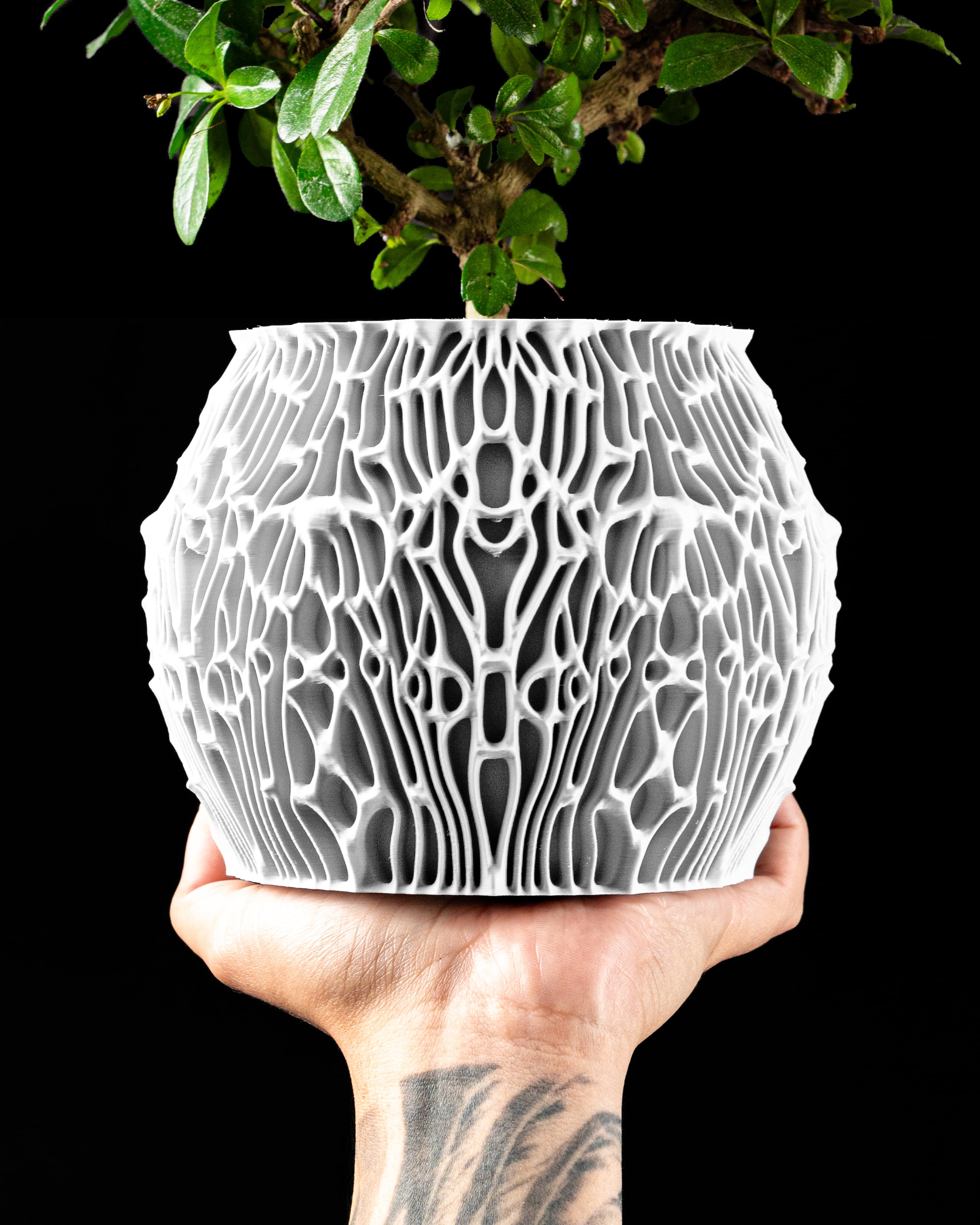 Planter Pot 006 by MODERN MACHINE 3d model