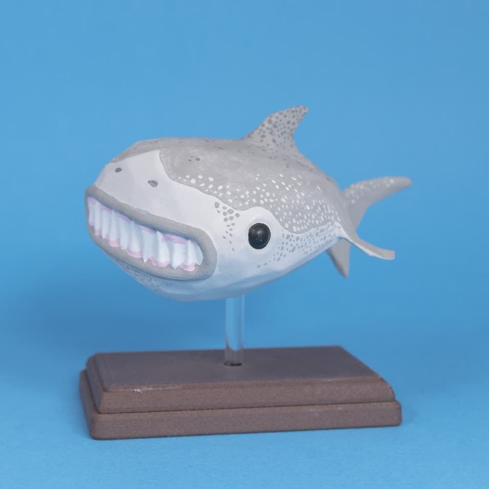 Great Wide Shark // Rejected Animals 3d model
