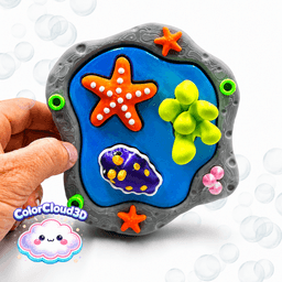 TIDE POOL TREASURES CLICKER SET 3d model