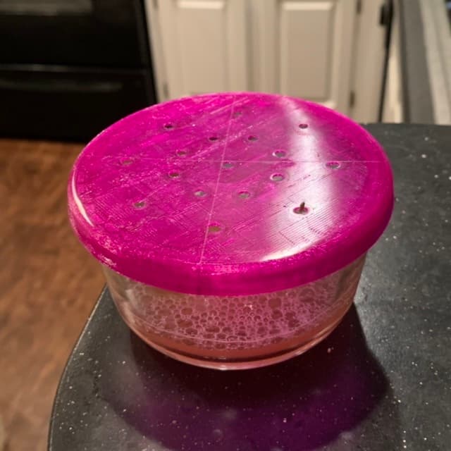 Fruit Fly Lid for Anchor Hocking / Pyrex 1 cup container 3d model