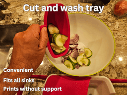 WASH AND CUT TRAY 3d model