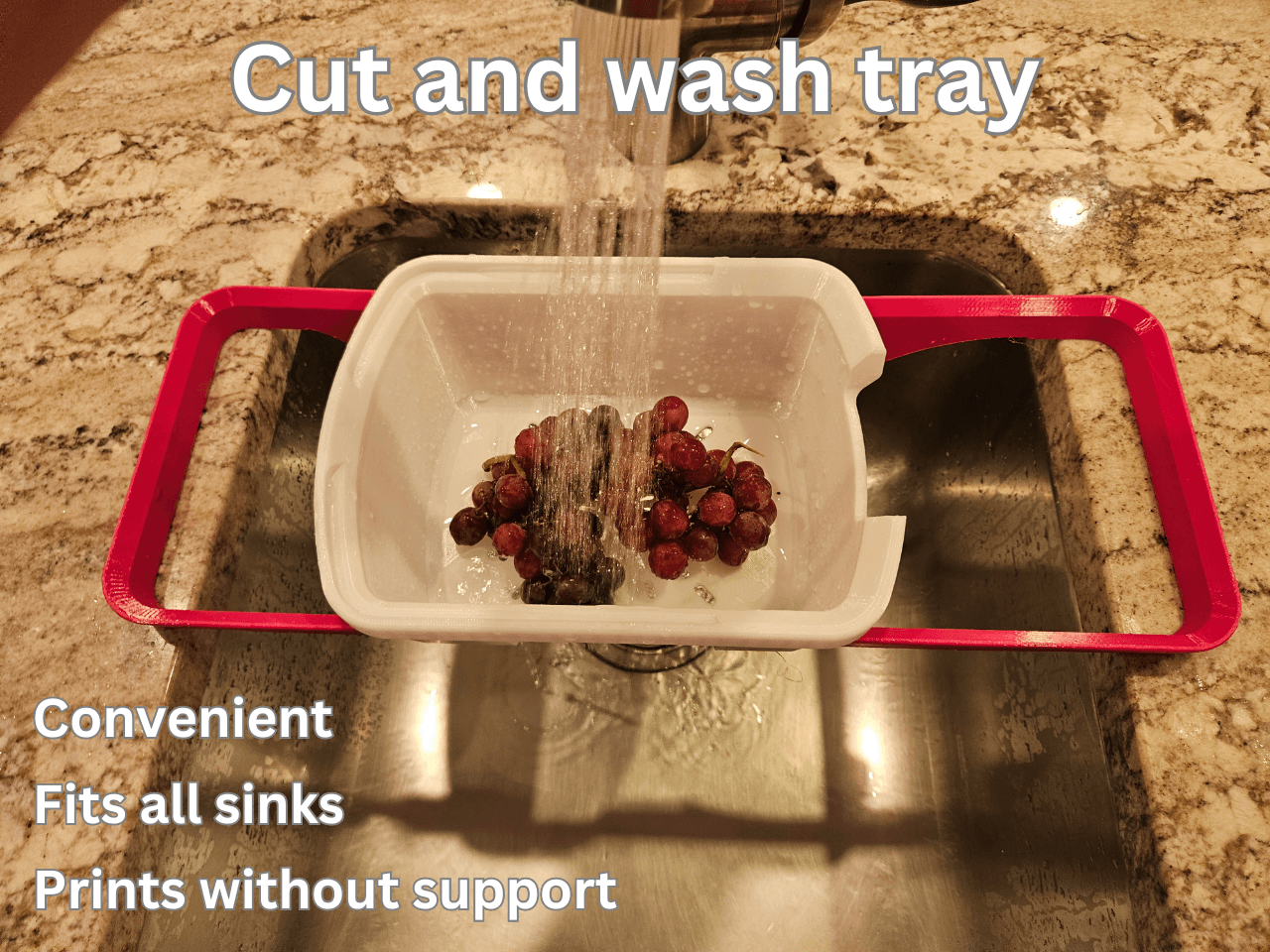 WASH AND CUT TRAY 3d model
