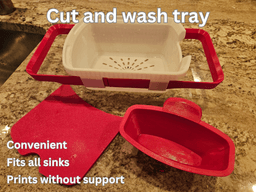 WASH AND CUT TRAY 3d model