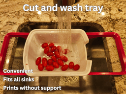 WASH AND CUT TRAY 3d model