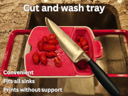 WASH AND CUT TRAY 3d model