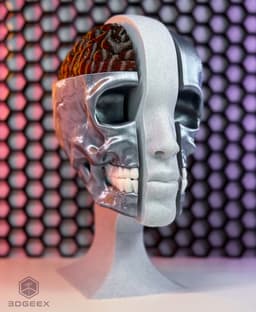 Anatomy 3d model