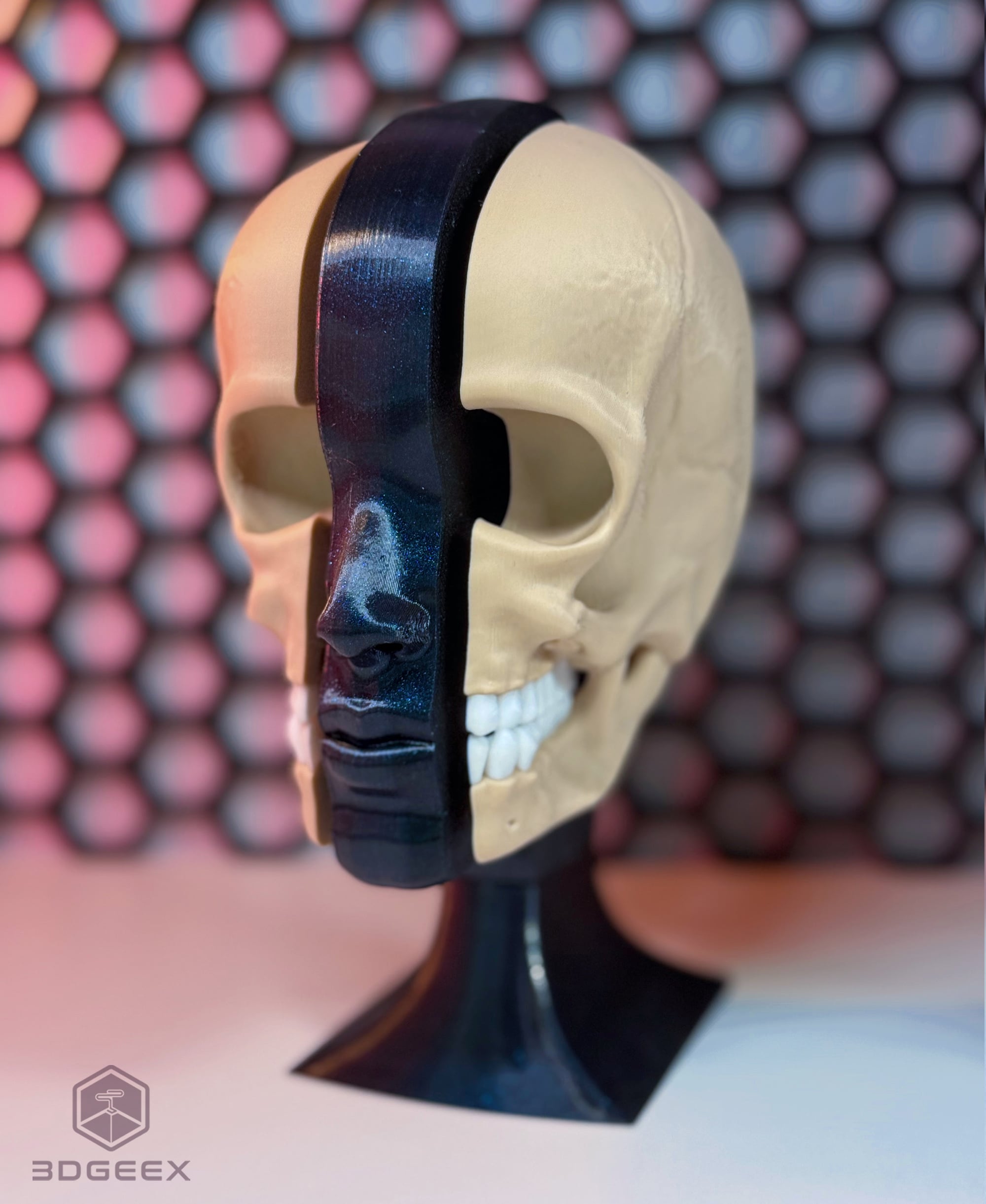 Anatomy 3d model