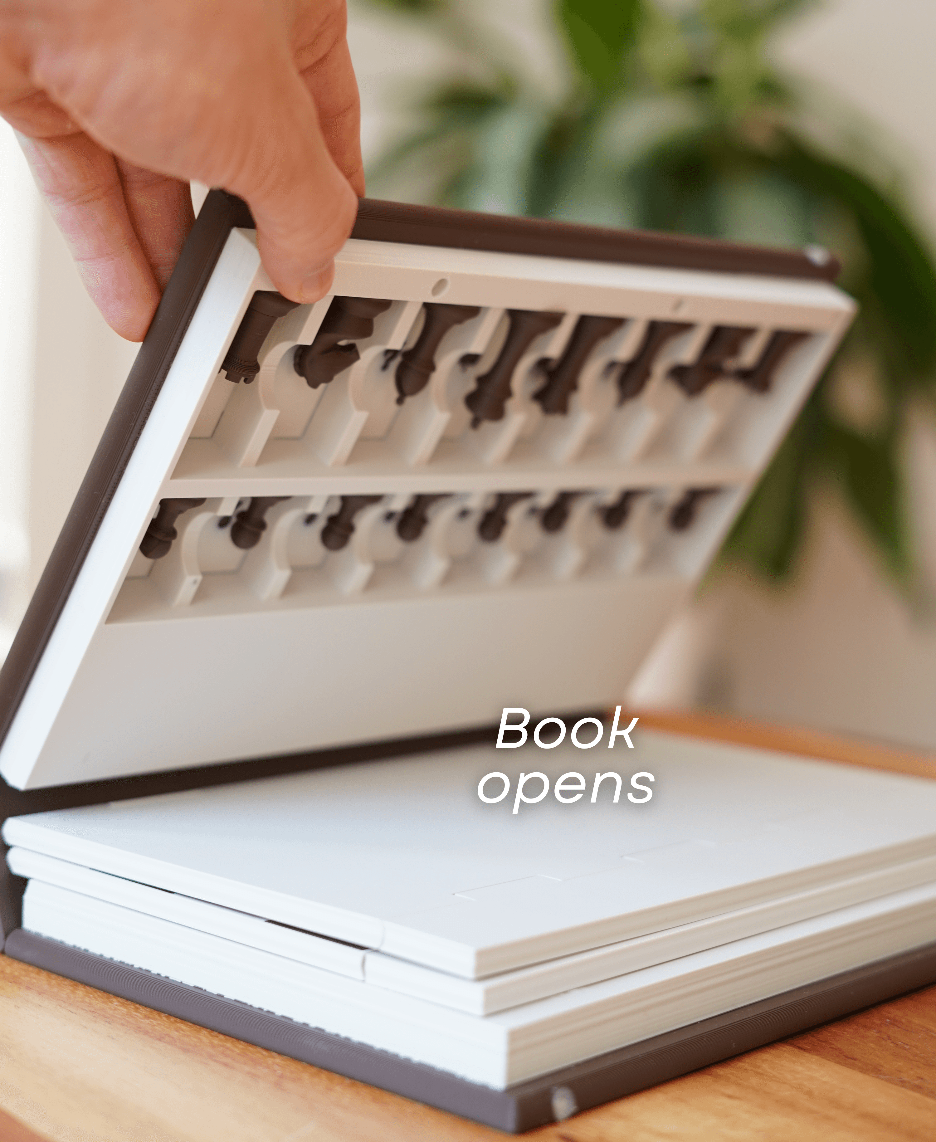 PlayBook'd - Chess 3d model