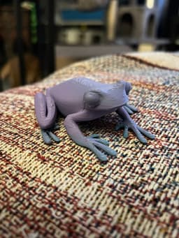 Funky Frog Figure 3d model