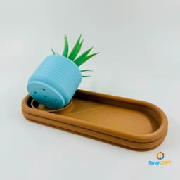Modupot * Suculent Organizer 3d model
